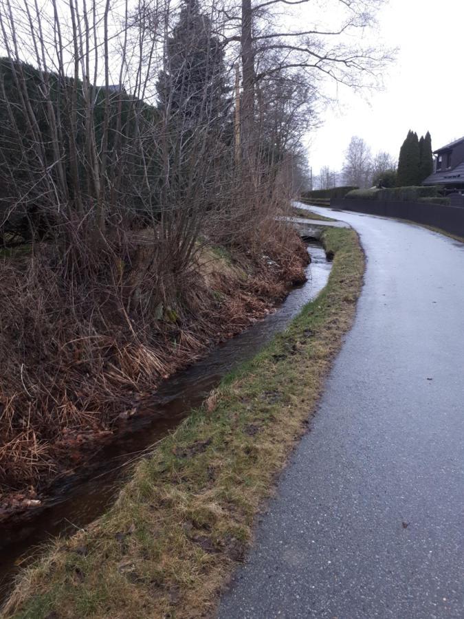 Ferienwohnung Am Flossgraben Bad Schlema Exteriör bild